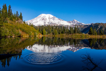 Mount Rainier and Bench Lake Ripple