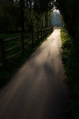 Cycle track, Jersey, U.K. St Peters Valley in Spring.
