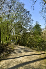 Lignes d'ombres sur une route en gravier au domaine de l'abbaye du Rouge-Cloître à Auderghem