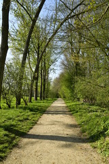 Chemin en gravier clair vers un tunnel de végétation au domaine de l'abbaye du Rouge-Cloître à Auderghem