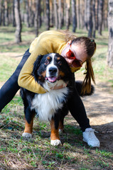 Young girl play with bernese mountain dog in a pine forest