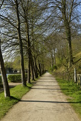 Promenade agréable entre deux rangées d'arbres longeant l'étang du Moulin au domaine de l'abbaye du Rouge-Cloître à Auderghem