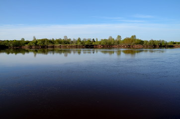 Summer landscape, pond and forest on the horizon.