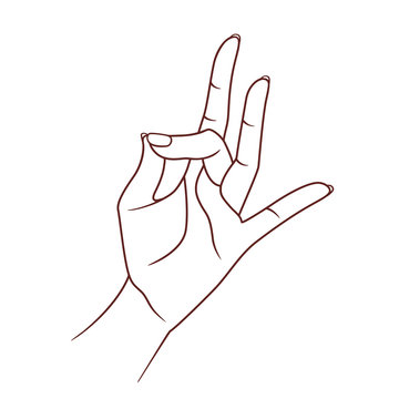 Shuni mudra. Yogic hand gesture. Isolated on white background