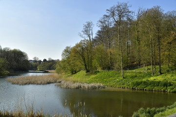 Fototapeta na wymiar Le petit étang du Langue Gracht avec ses roseaux au début du printemps au domaine de l'abbaye du Rouge-Clôitre à Auderghem