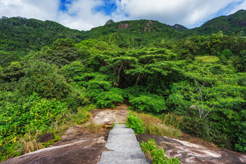 Fototapeta na wymiar hiking the granite stairway in the jungle, mahé, seychelles 5