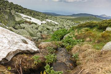 Fototapeta premium Summer Landscape near Cherni Vrah peak at Vitosha Mountain, Sofia City Region, Bulgaria