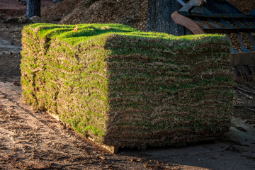Fresh sod grass squares stacked on pallet ready for landscape installation.