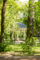gazebo in the Park. spring square
