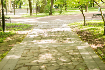 paths in the Park. spring square
