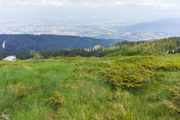 Summer Landscape near Cherni Vrah peak at Vitosha Mountain, Sofia City Region, Bulgaria