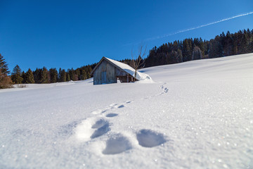 Fototapeta na wymiar Allgäu - Stadel - Hütte - Winter - Tiefschnee - Fußspuren