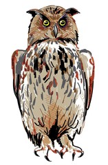Owl sits with folded wings. Drawing by hand, drawing markers. Multicolored stylish pattern.