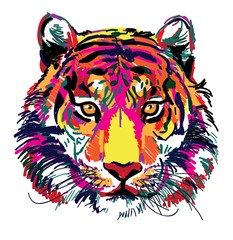 Wielobarwny szkic głowy tygrysa. Indian, tygrys amurski. Markery do rysowania, pop-art. Stylowy plakat. - 261368949