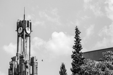 1000 Years Haskovo Monument with flying pigeon, black and white photography, Haskovo, Bulgaria