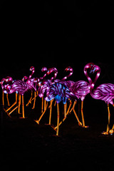 Fuschia Flamingos