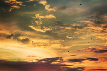 Vivid dramatic twilight sunset sky with colorful clouds and silhouettes of birds