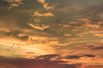 Vivid dramatic twilight sunset sky with colorful clouds and silhouettes of birds