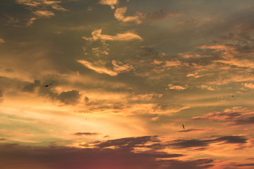 Vivid dramatic twilight sunset sky with colorful clouds and silhouettes of birds