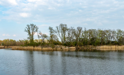 Ponds in Wola Rusiecka near Krakow