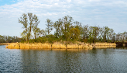 Fototapeta na wymiar Ponds in Wola Rusiecka near Krakow