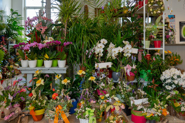 many flowers and bouquets stand in a florist's shop