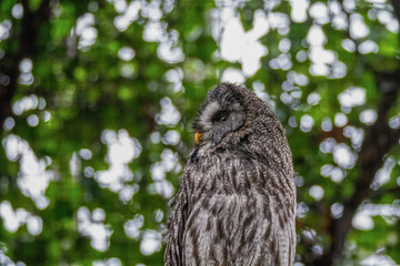 Zoo / zu Hause