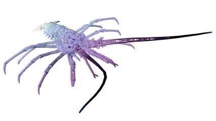 3d rendering of an artistic animal with reflection isolated on white background