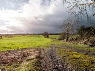Fototapeta na wymiar Irish landscape, road in a field, green grass, cloudy sky, summer time.