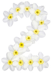 Numeral 2, two, from natural white flowers of Daffodil (narcissus), isolated on white background