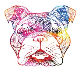 The head of a dog. English bulldog. Drawing manually in vintage style. Meditative coloring. Coloring for children. Arrows, points, patterns.