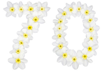 Numeral 70, seventy, from natural white flowers of Daffodil (narcissus), isolated on white background