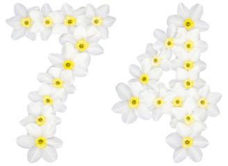 Numeral 74, seventy four, from natural white flowers of Daffodil (narcissus), isolated on white background