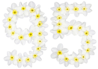 Numeral 95, ninety five, from natural white flowers of Daffodil (narcissus), isolated on white...