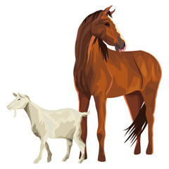 horse and goat