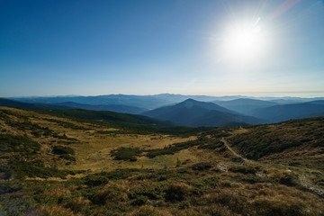 Obraz premium The road to Mount Hoverla of the Ukrainian Carpathian Mountains, Chornohora