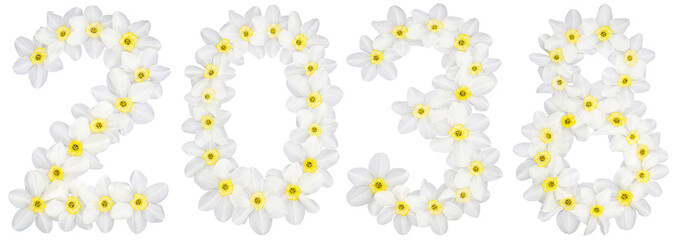 Inscription 2038, from natural white flowers of Daffodil (narcissus), isolated on white background