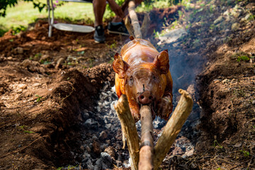 roasted pork