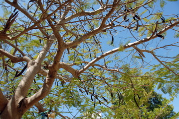 Ville de Cienfuegos, Cuba, Caraïbes © Philippe Prudhomme