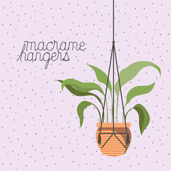 houseplant in macrame hangers