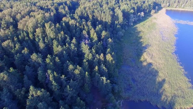 Aerial View Of Forest And Reeds On The Island On Lake Seliger, Russia