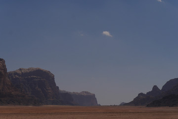 Wüstenblider aus dem Wadi Rum