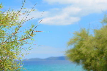 Fototapeta na wymiar Seascape, Ierissos beach, Chalkidiki, Greece