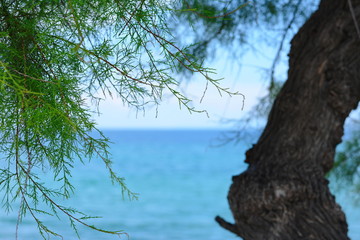 Fototapeta premium Seascape, Ierissos beach, Chalkidiki, Greece