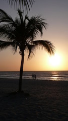 Fototapeta na wymiar Walk on beach at sunset