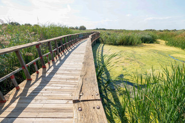 Fototapeta na wymiar el puente del lago verde