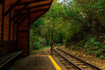 Fototapeta na wymiar wooden stop in autumn forest for train railway