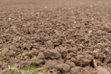 Erdschollen eines gepfügten Ackers