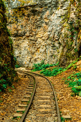 abandoned railway track in the autumn forest. the rocks of the mountains