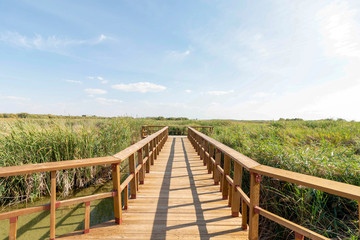 Pasarela sobre la laguna